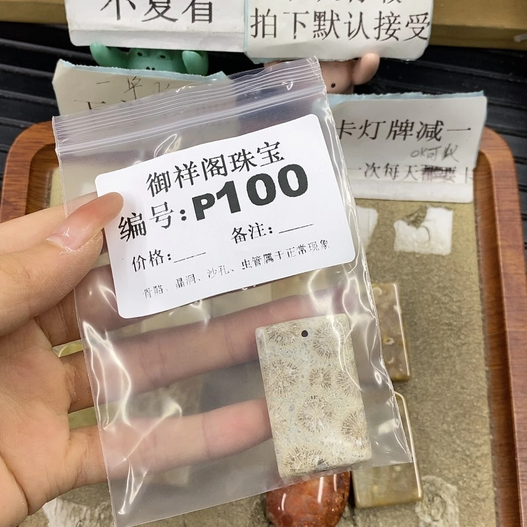 硅化珊瑚（珊瑚玉）未镶嵌颈饰焯*