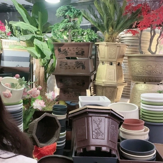 复合盆景造型设计