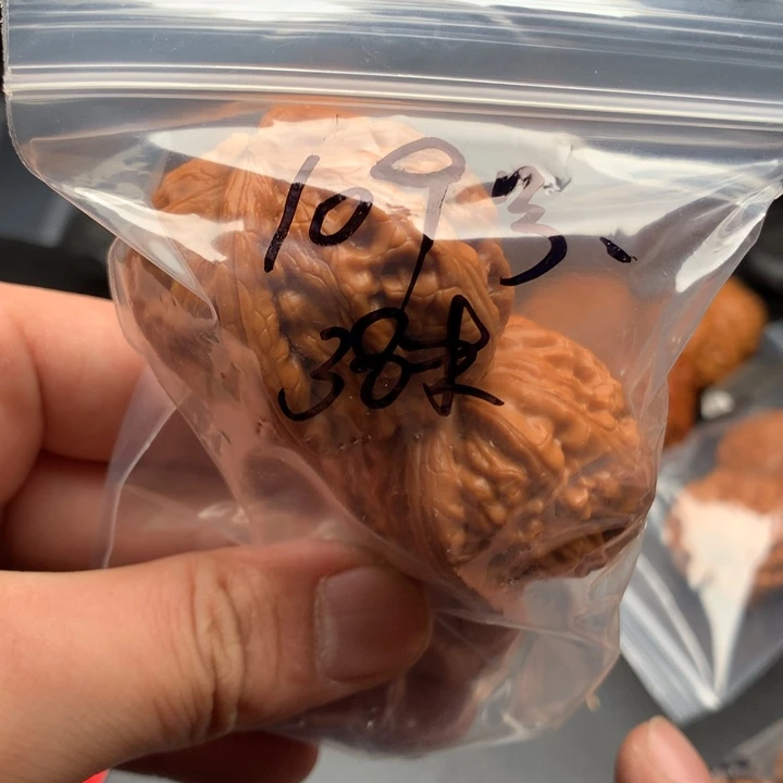 文玩核桃把件还*困42元宝