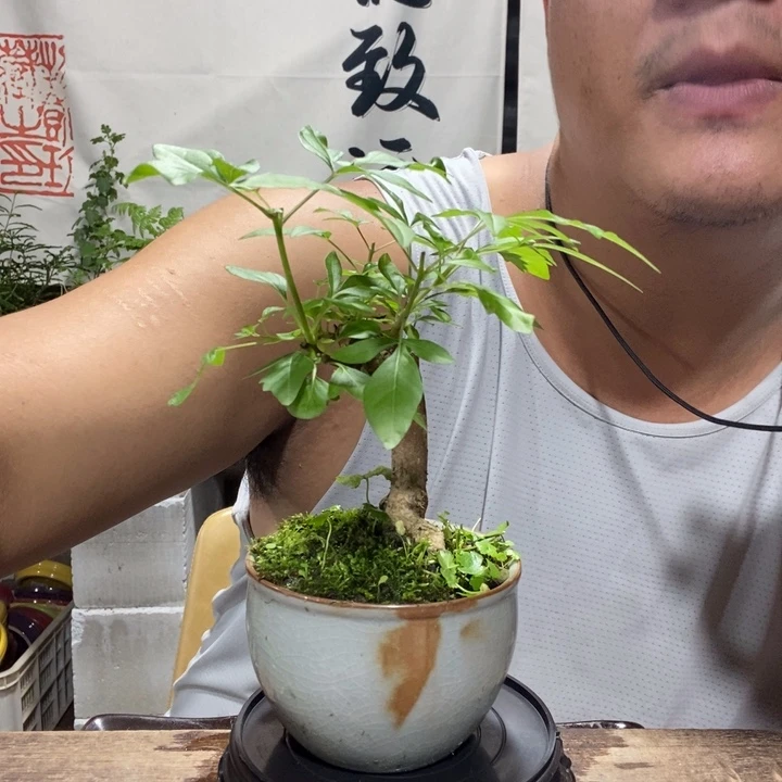 一物一拍所见即所得255