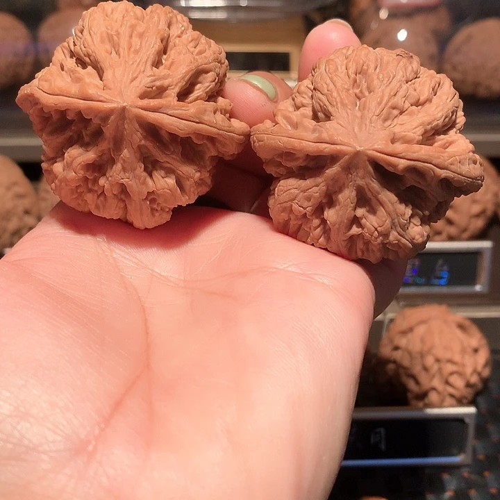 文玩核桃把件粗筋47尺