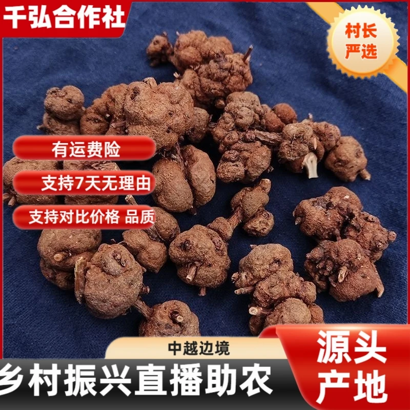 1村长严选——山野好货——消瘤果