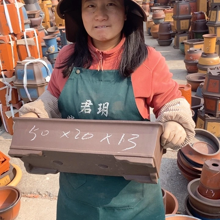 紫砂花盆盆栽花卉苗木种植