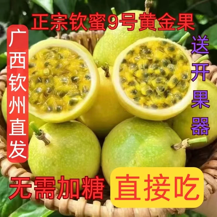 【优选大果】广西钦蜜9号黄金百香果新鲜采摘孕妇当季水果现摘维C