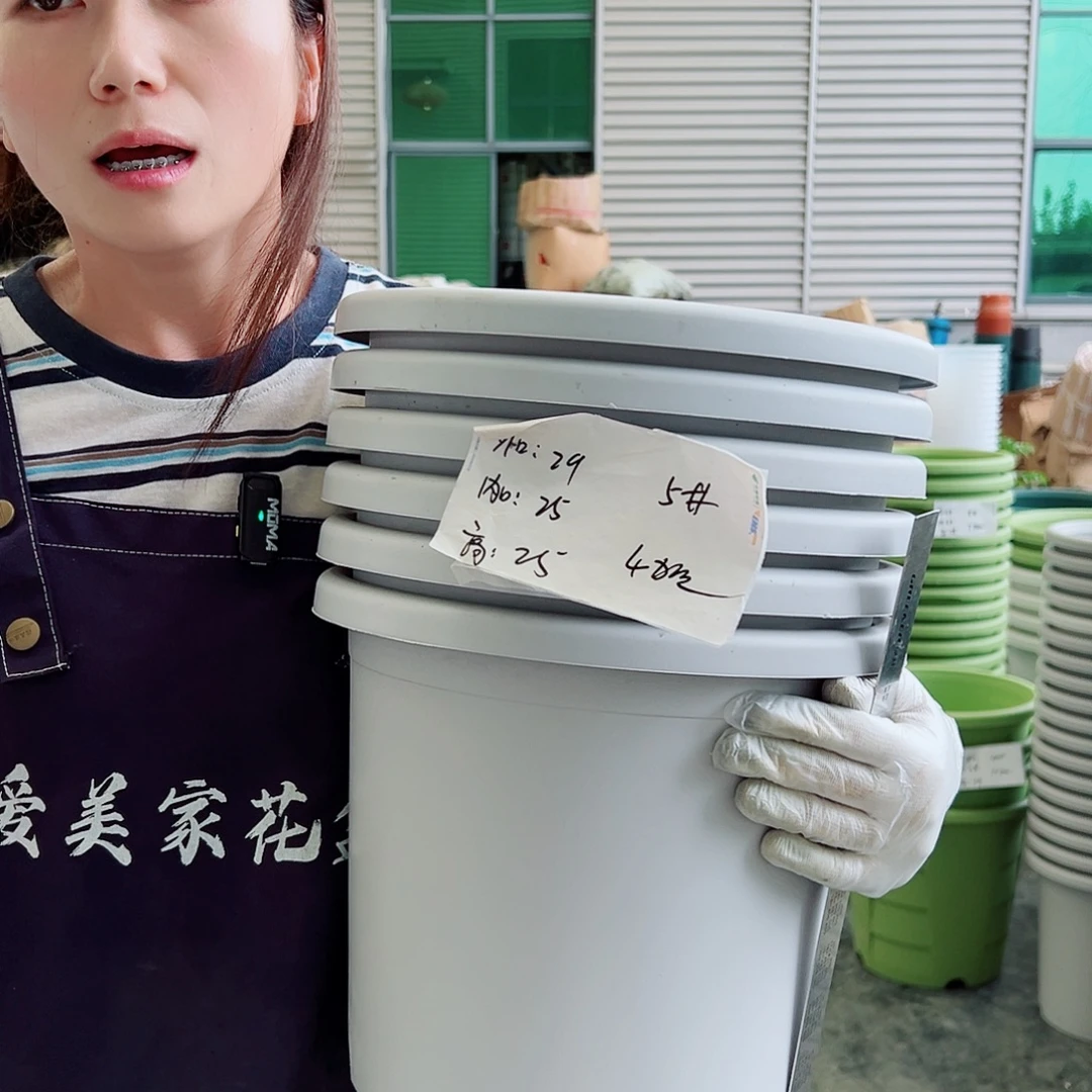 四季盆5#灰白6个无托