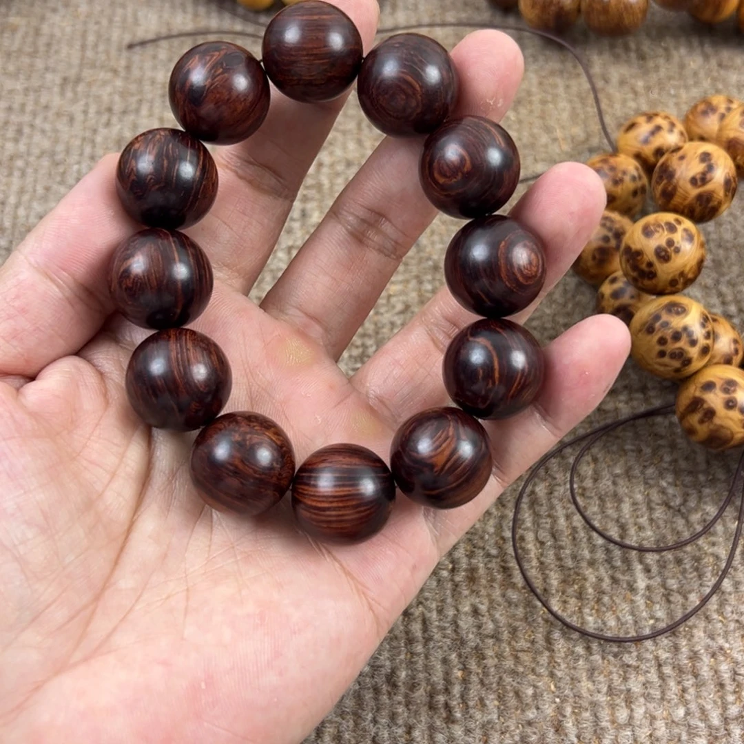 木小**学海南红降2.0。。。。。。。。