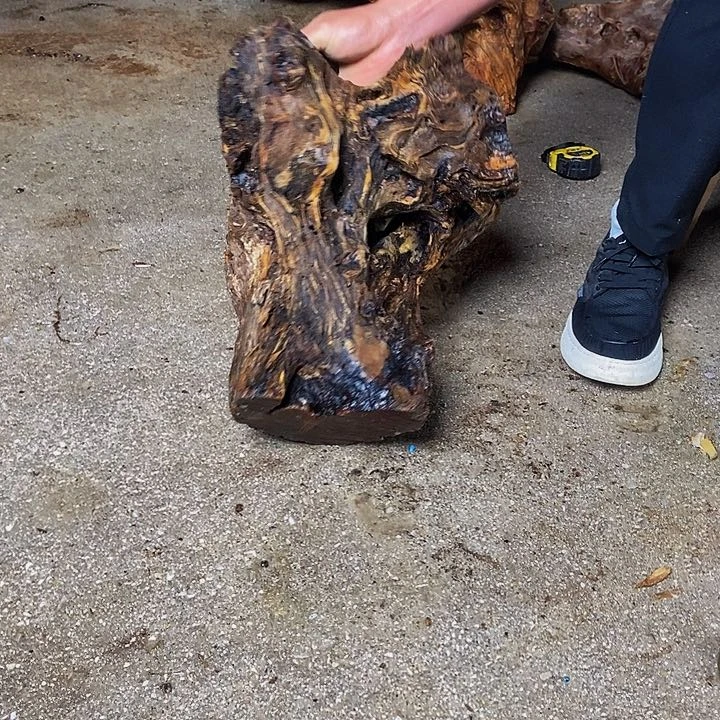 楠木（金丝楠）其他吴*雄