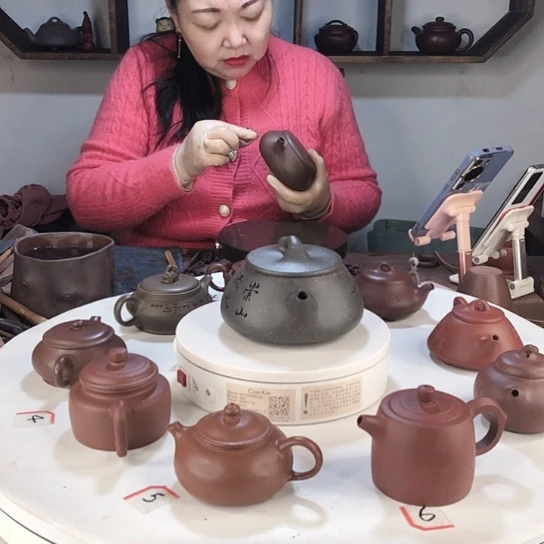风****茶壶紫砂降坡泥潘壶