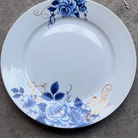 瓷其他10寸盘一个陶瓷