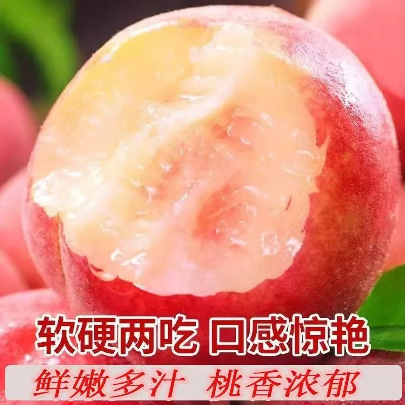 5斤装高山水蜜桃现摘现发鲜甜多汁应季新鲜水果包邮
