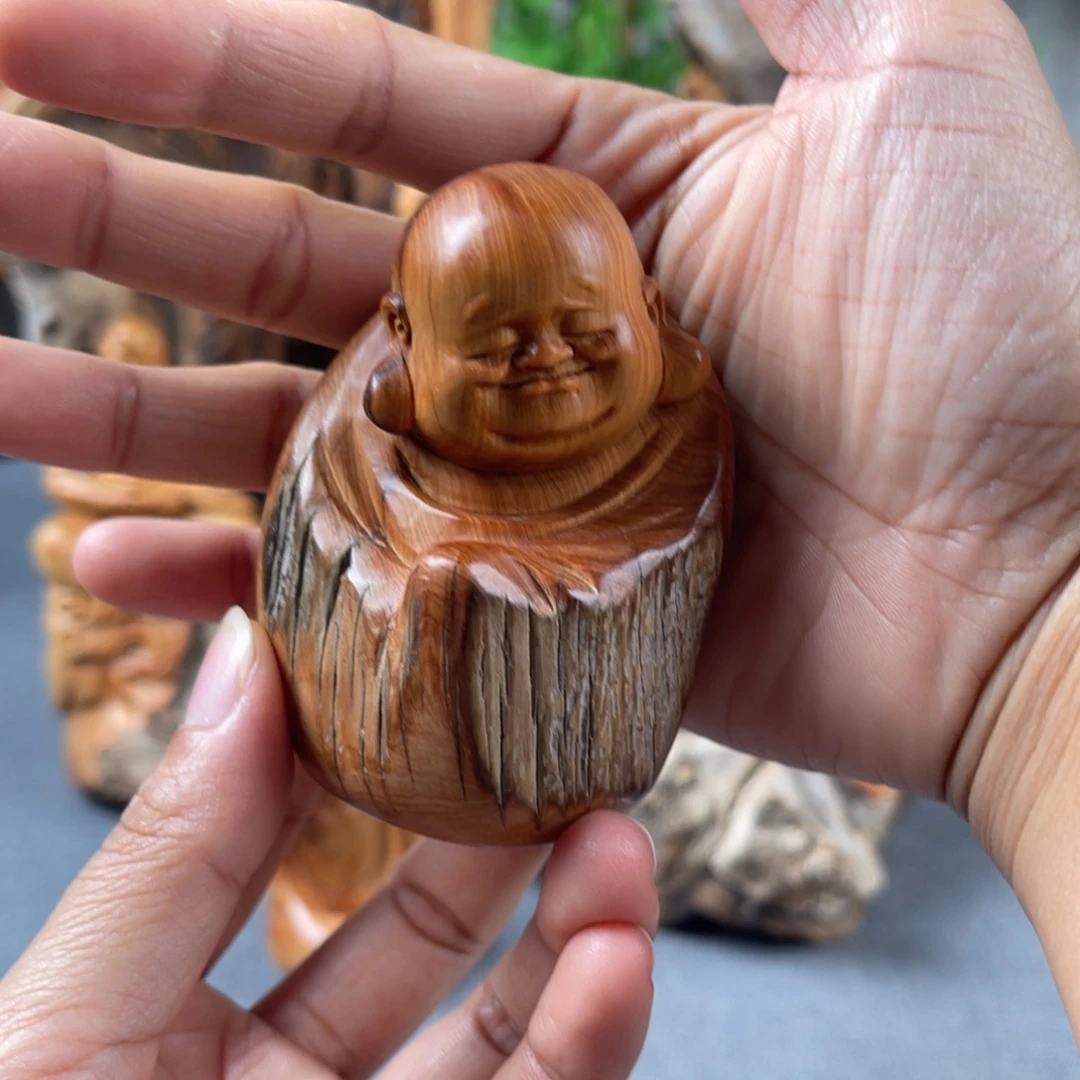 柏木（崖柏）崖柏太行山脉