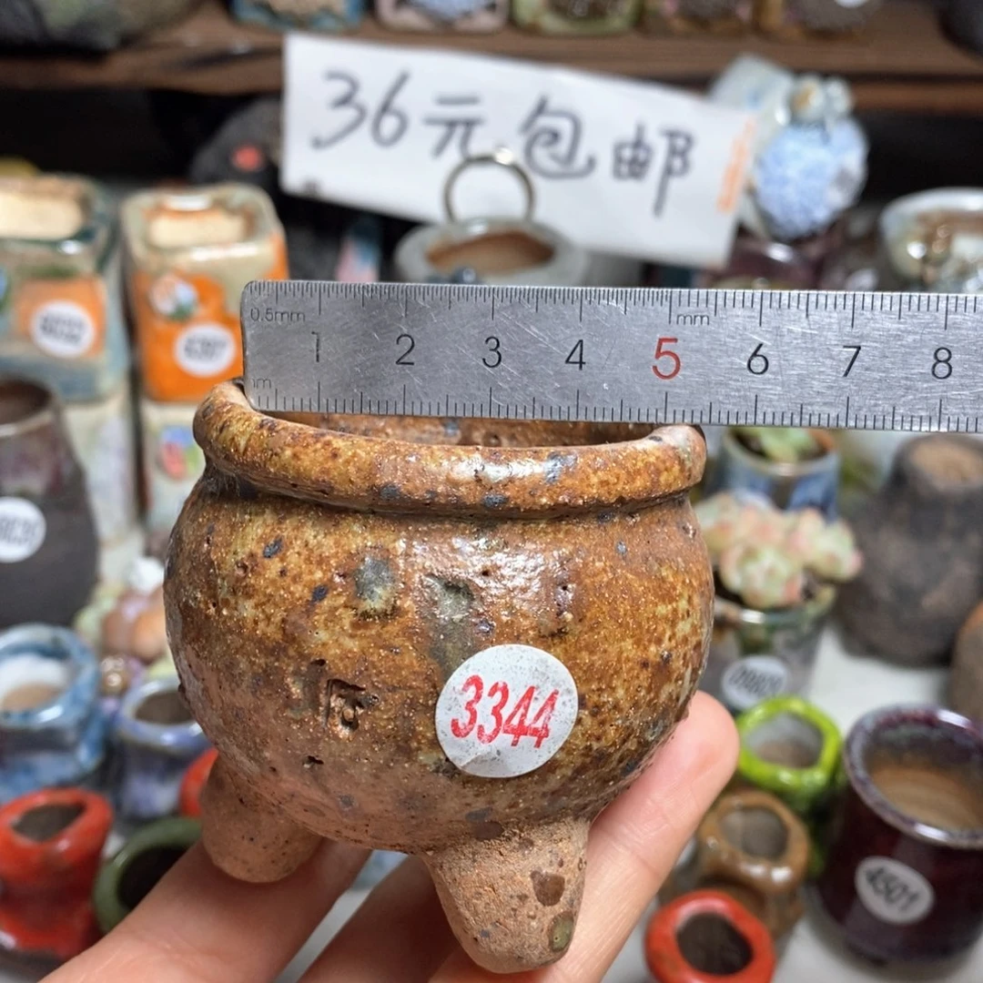 花盆拍3送个9·9的盆，拍5送同款