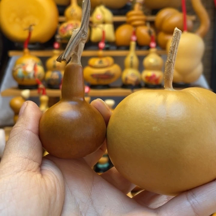 亚**连天然葫芦自然生长亚冠