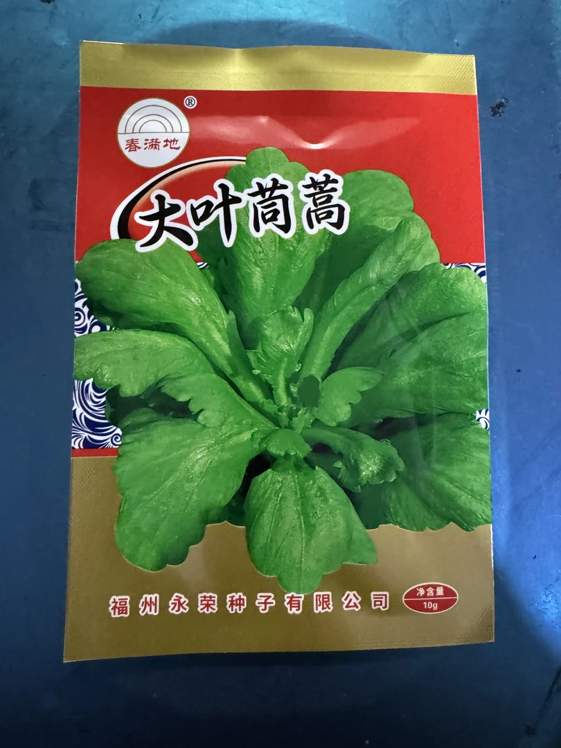 大叶茼蒿中叶茼蒿小叶茼蒿茼蒿种子