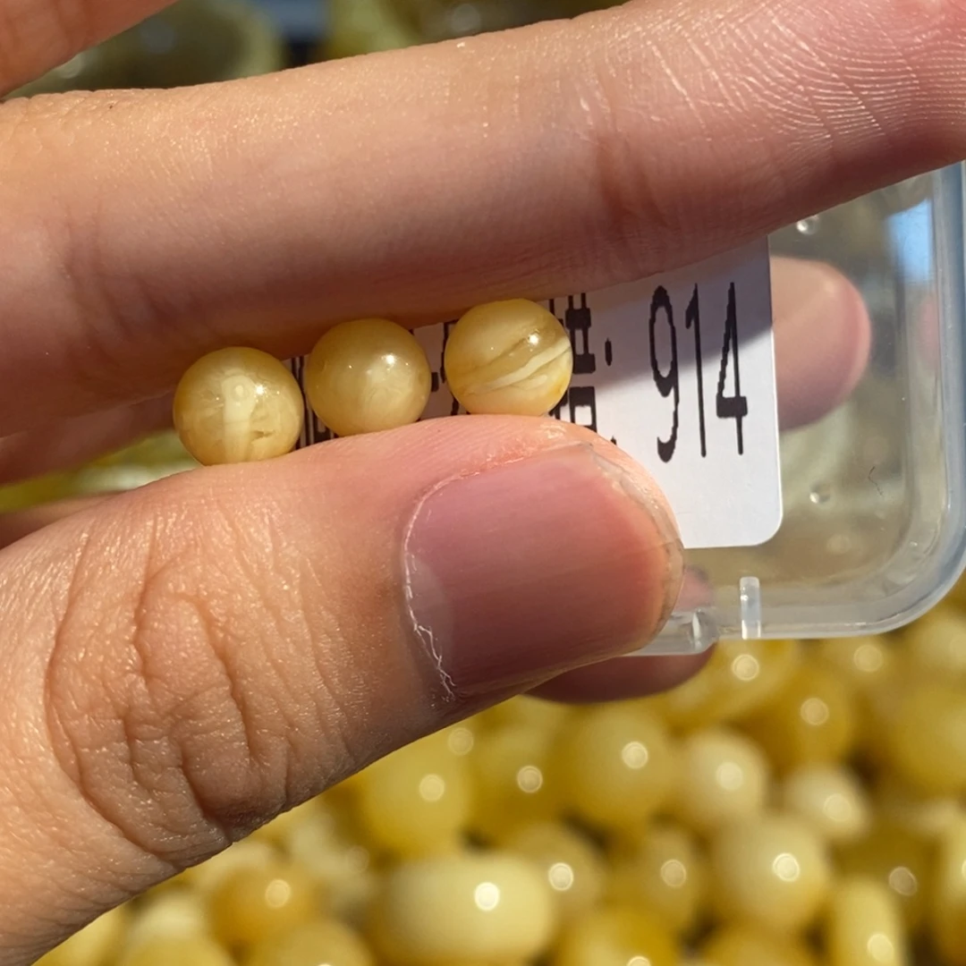 蜜蜡未镶嵌珠宝奇石914