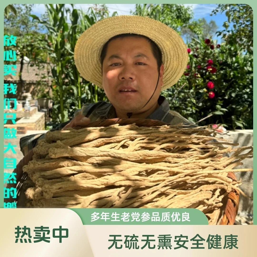 【野外采挖老党参】岷县直销 滋补无硫无熏原条
