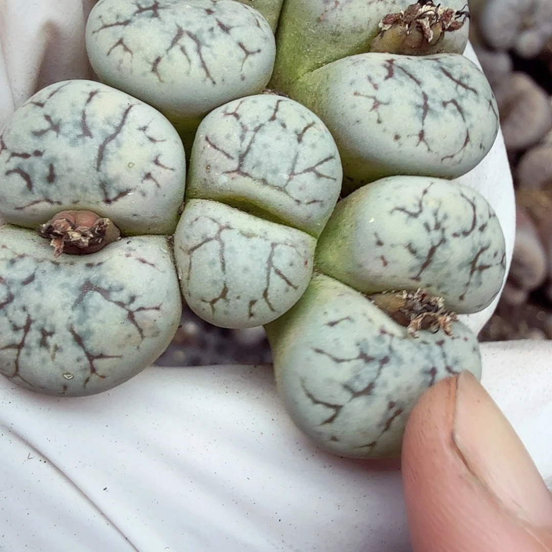 这个点睡一回是为了046哈哈