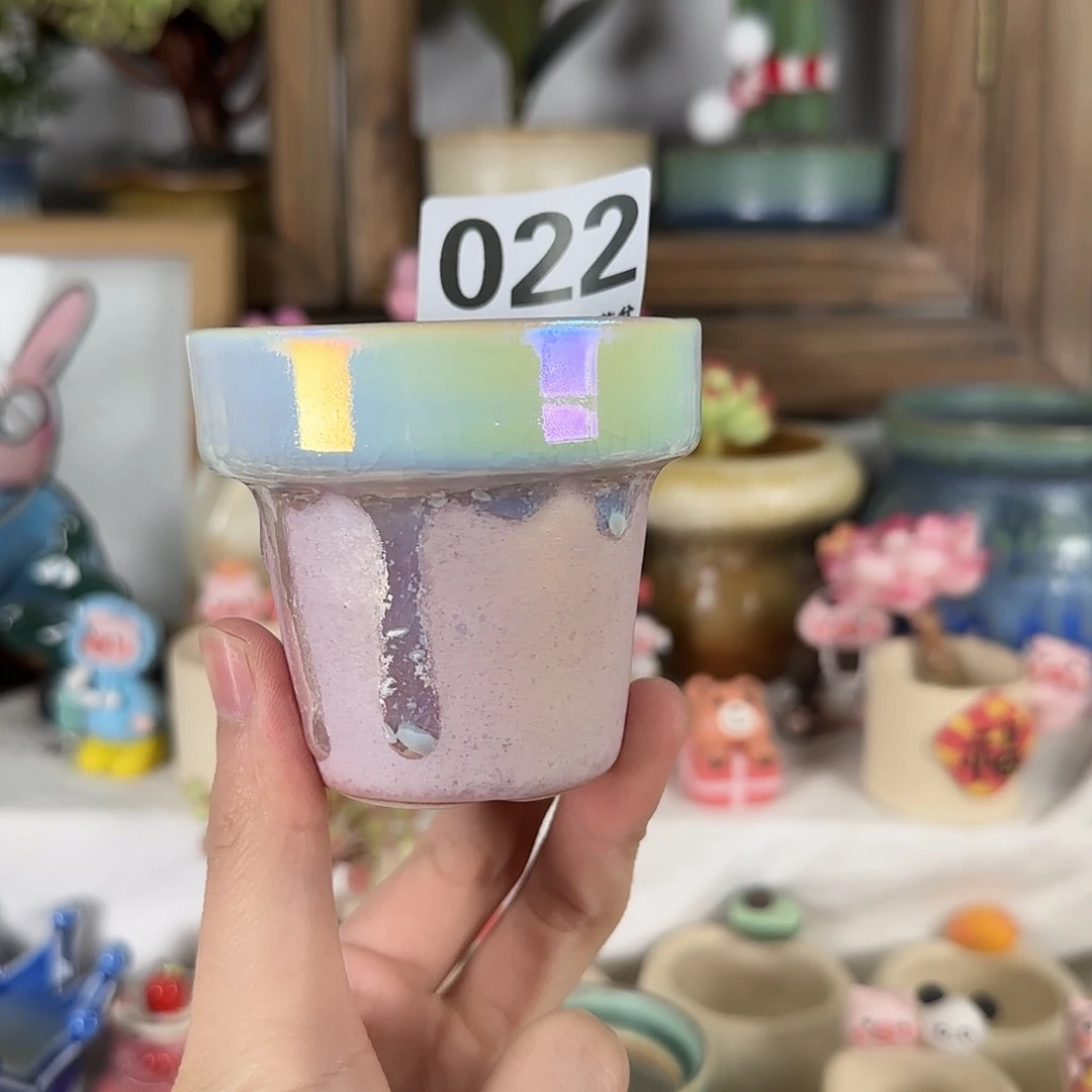 022 口6 默认微瑕 花盆