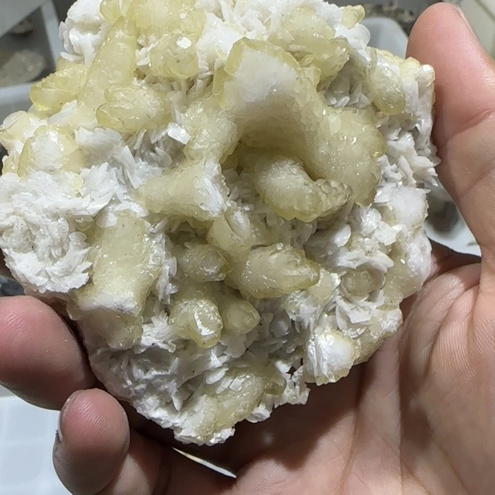 S***瑞昌化石印石原石料