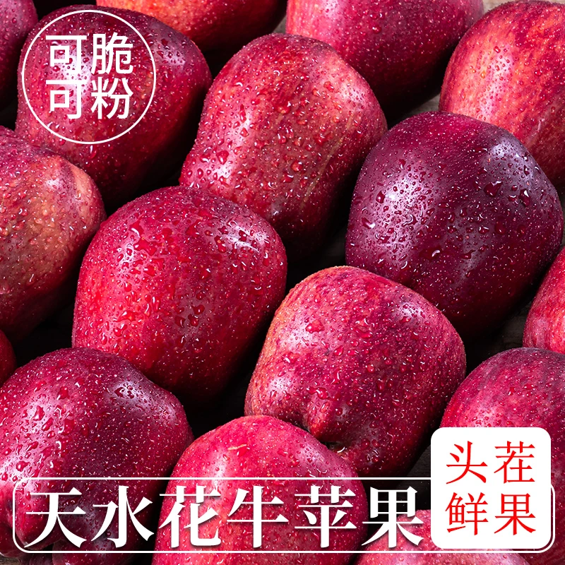 头茬甘肃天水花牛苹果当季新鲜水果脆粉两吃整箱包邮宝宝辅食维C