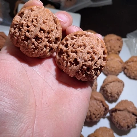 文玩核桃把件水龙纹