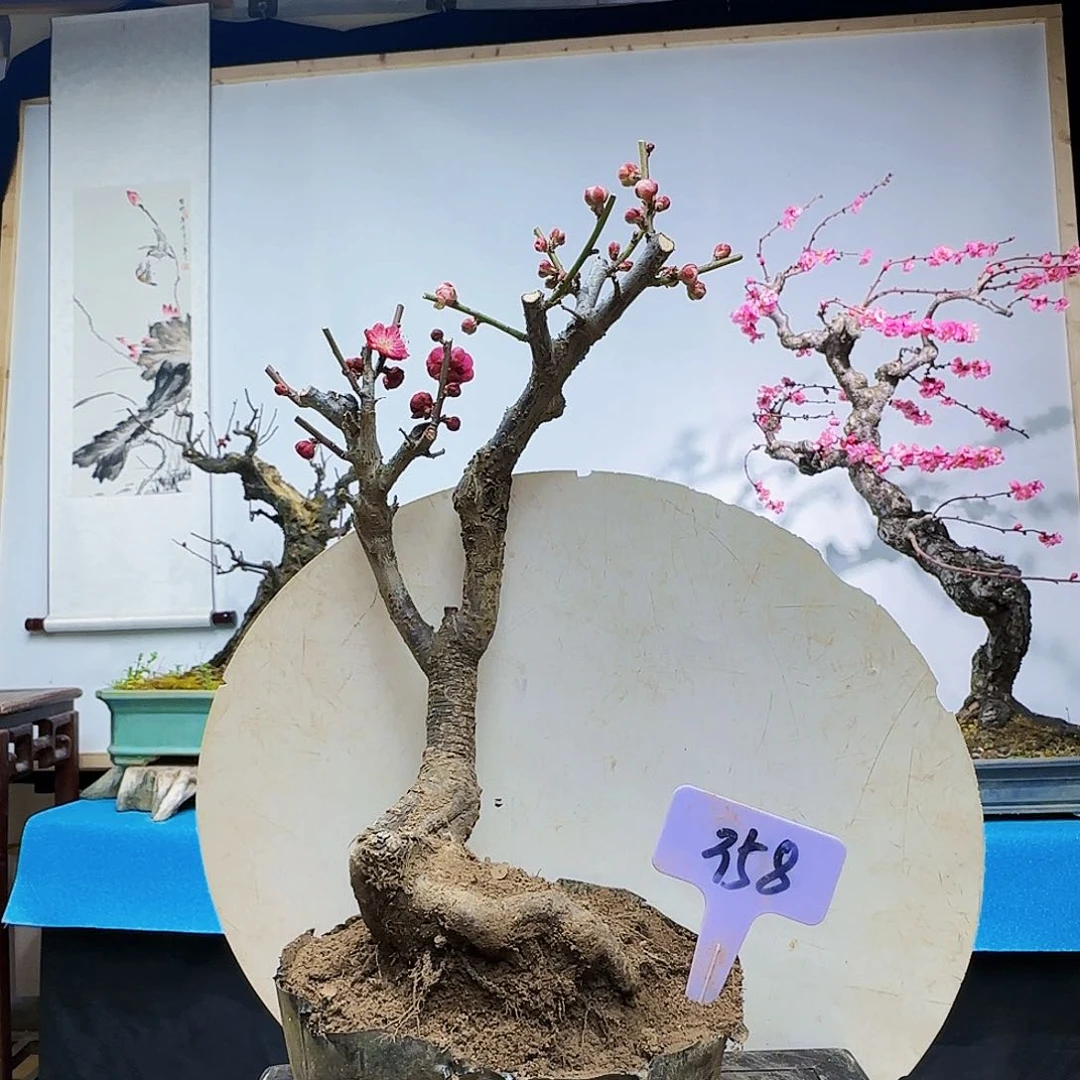 无铅玻璃丁*平f g h h j k