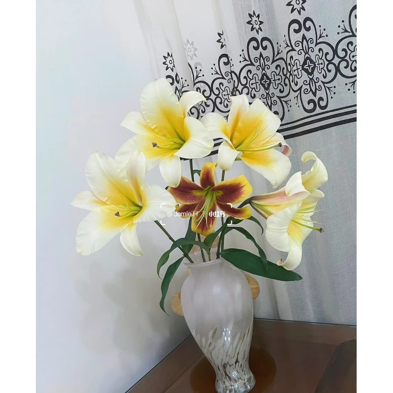 四季可奇异小姐百合OT系列百合种球12/14规格