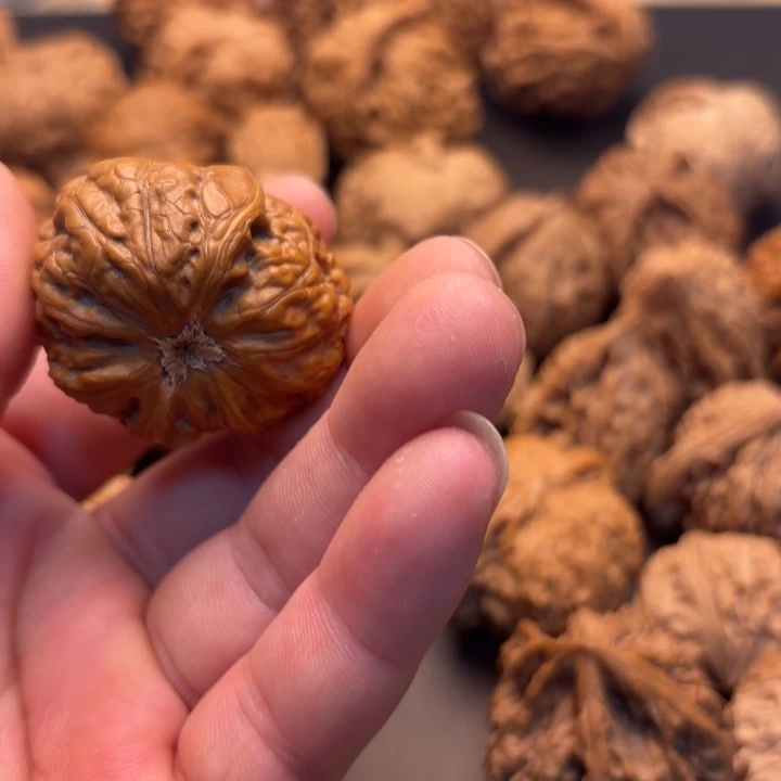 W***J文玩核桃吊坠蛇头