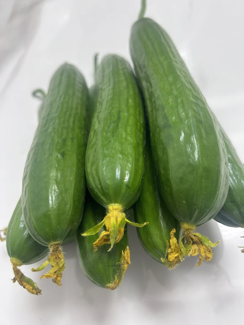 大华新鲜采摘水果黄瓜5斤（±2两）