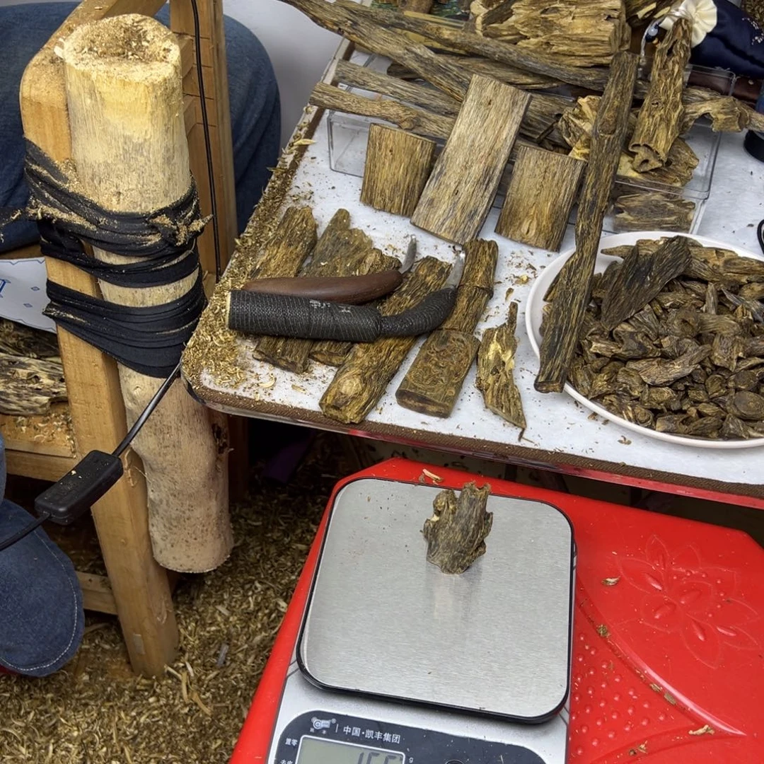 线香奇楠虫漏香15克