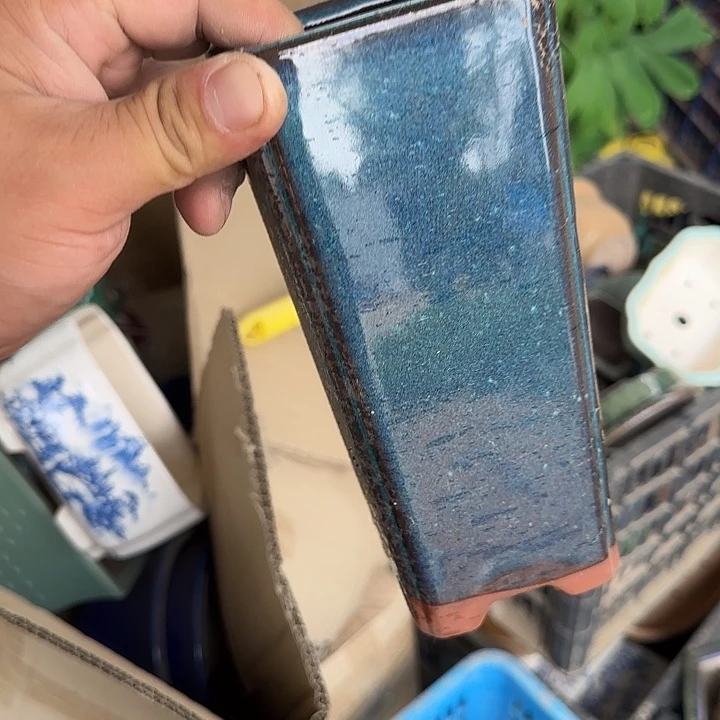 是因为它具有非常丰富且独特