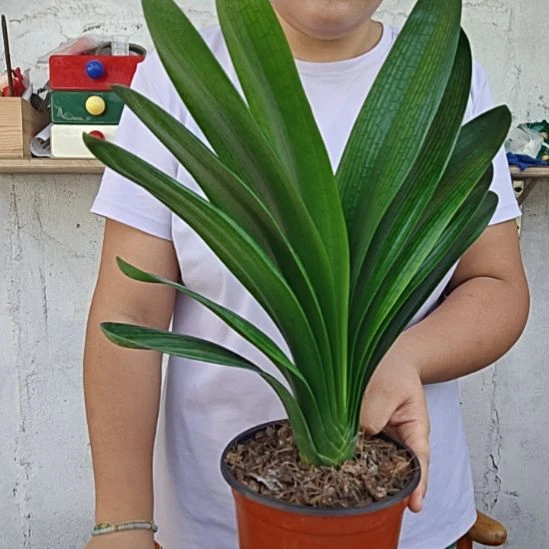 用***1无花朵6421     39