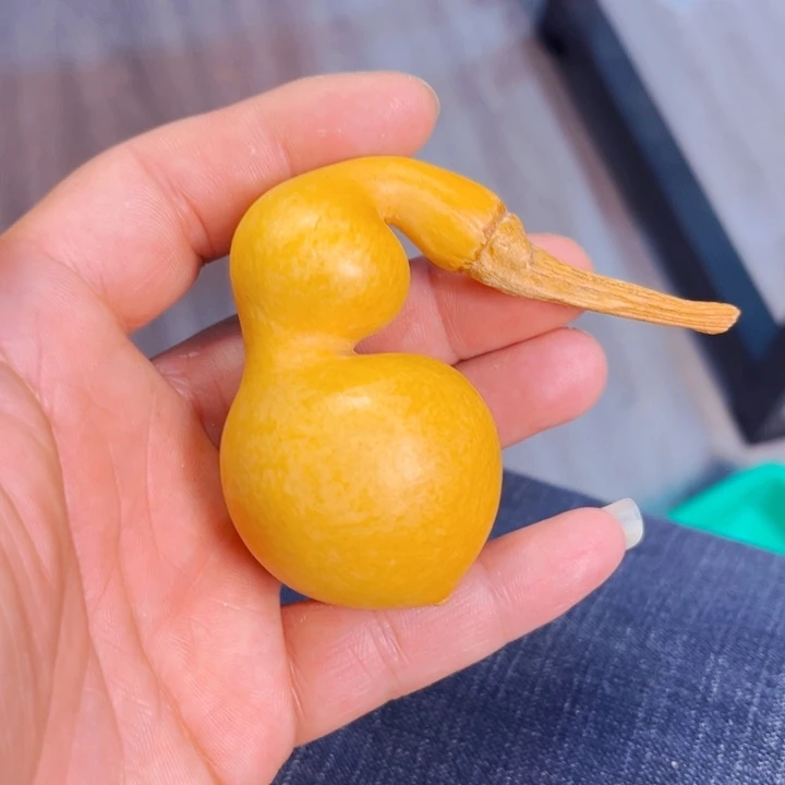 可*文玩葫芦蚂蚁葫芦