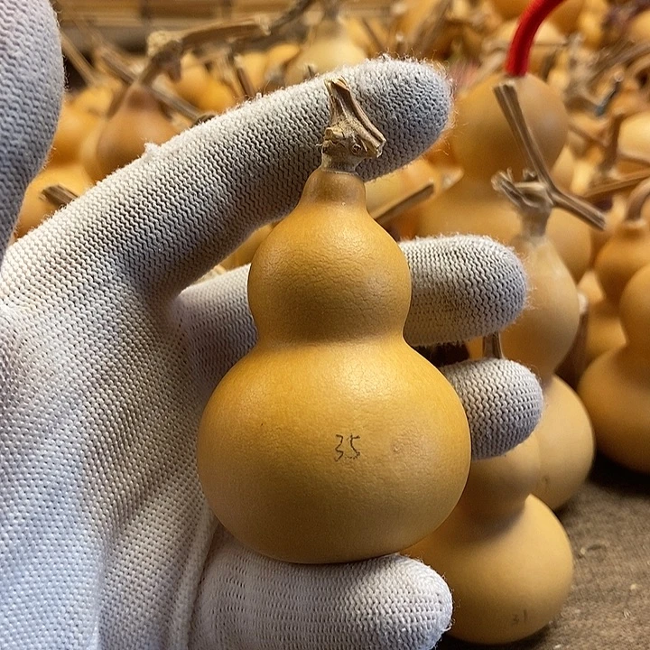 文玩葫芦 完美主义者 慎拍35