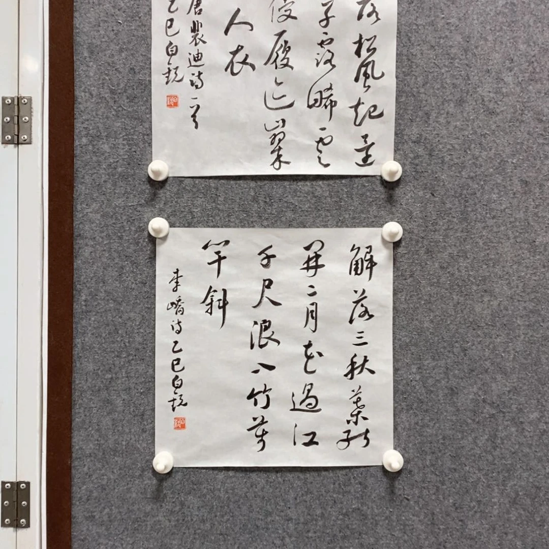书法徐**物白老师书法作品