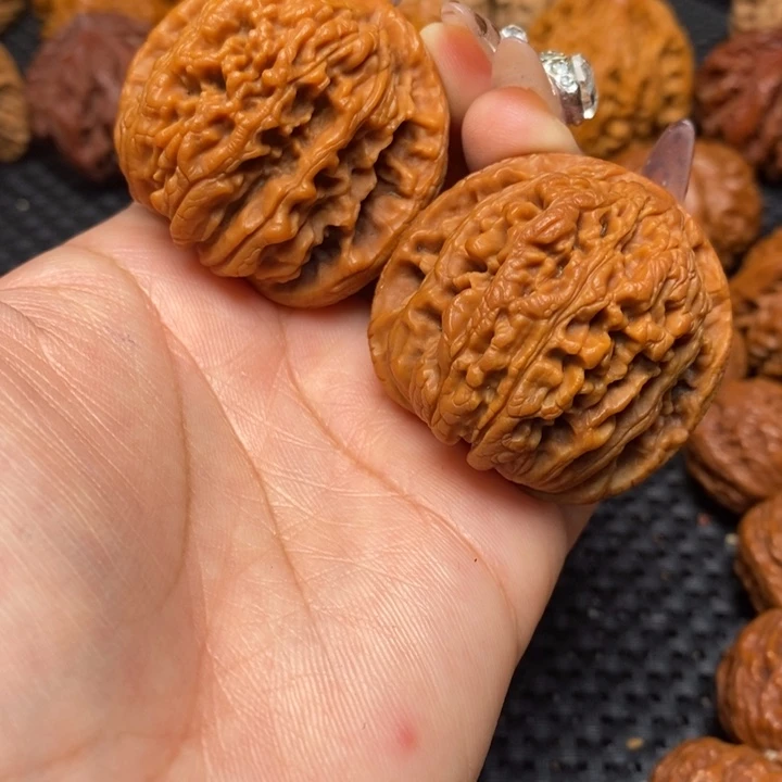 秦岭野生000000051