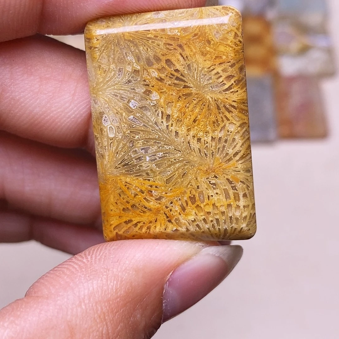 锦***Ꮤ硅化玉合金珊瑚玉