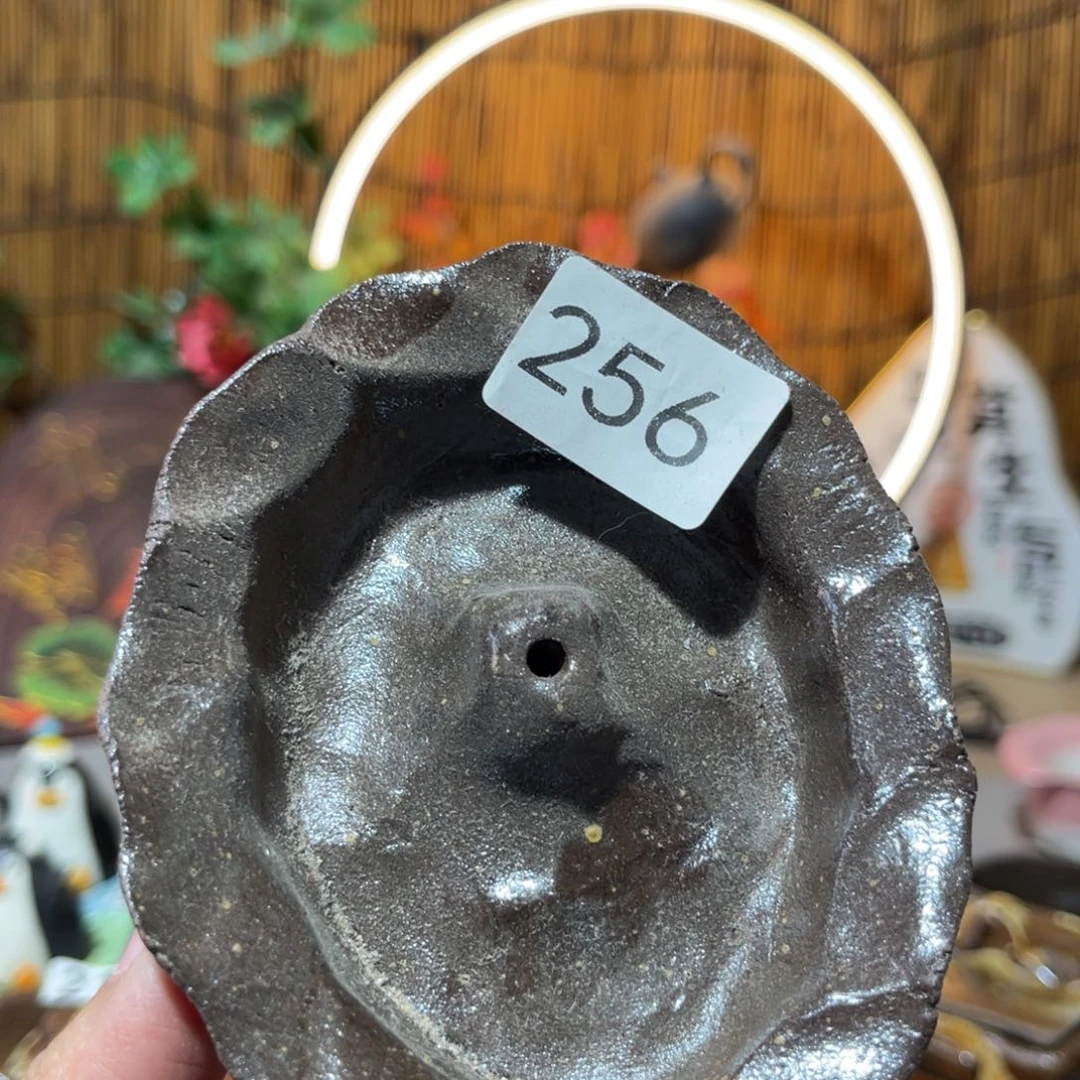 木村信弘柴烧保平