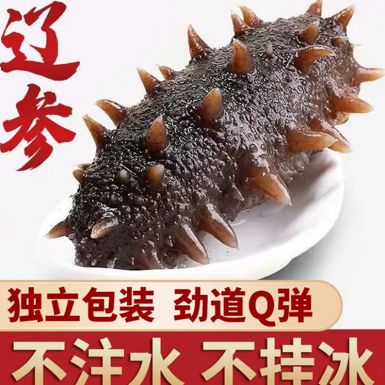 大连底播即食海参5-7头(顺丰冷链发货)