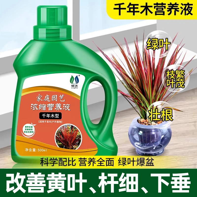 千年木专用肥料专用营养液千年木绿植专用土马尾铁专用肥料营养液