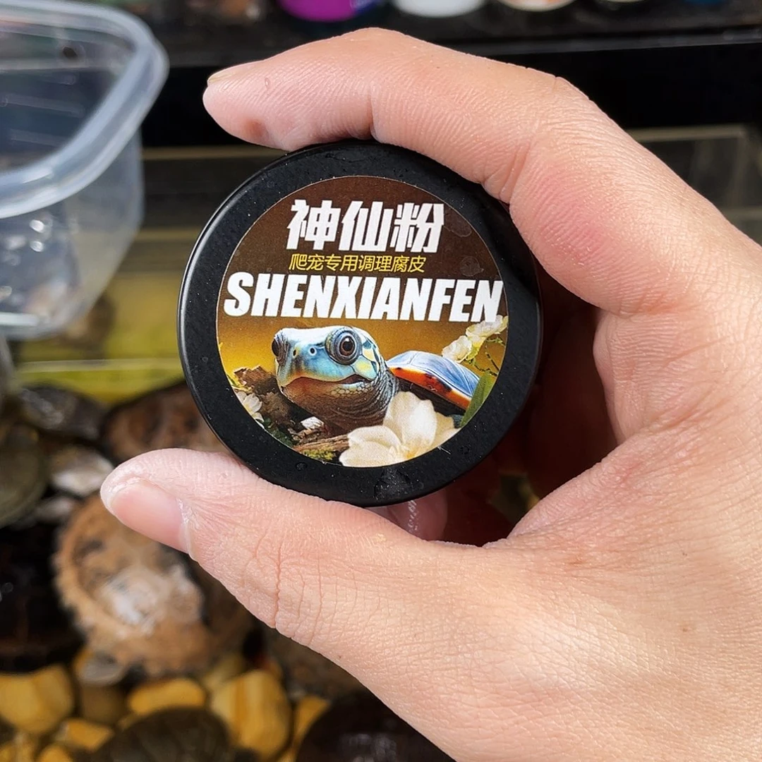 绿毛龟母订单的发发发的地方