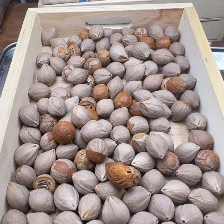 橄榄核手串/手链2.1以下通货练手核一斤花口问题