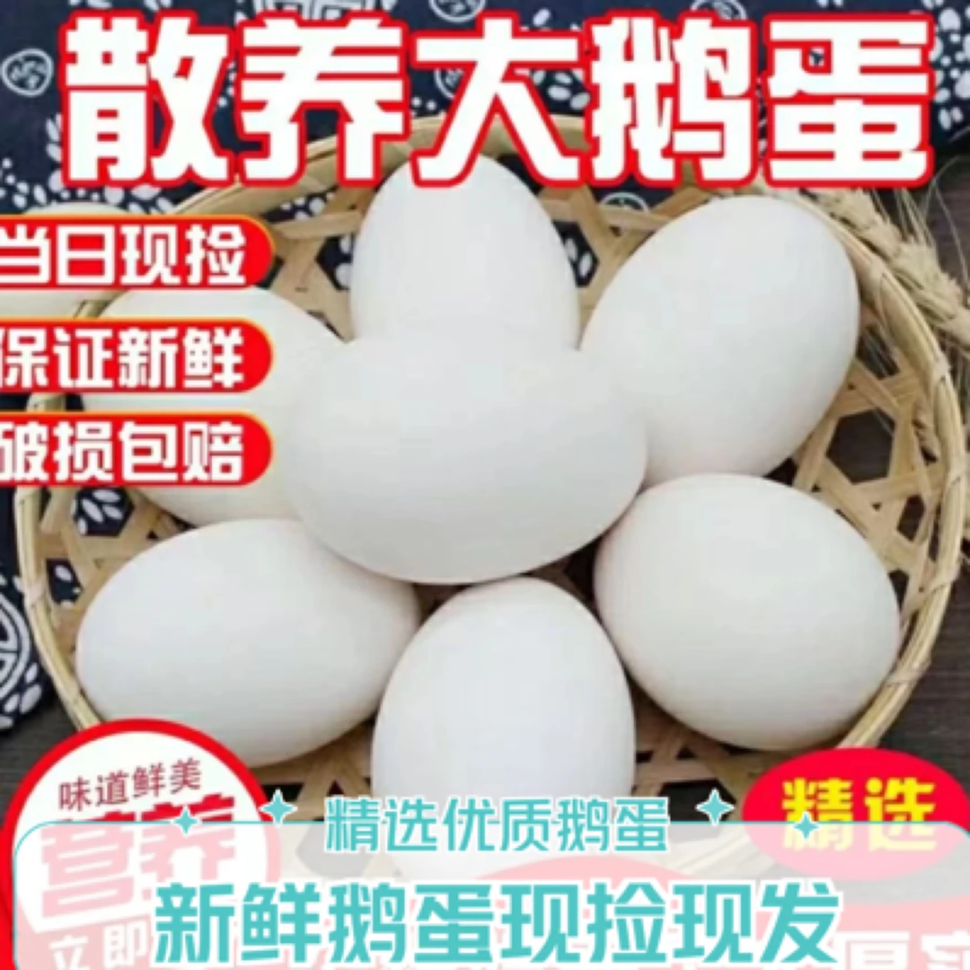 【大鹅蛋 超划算】正宗农家散养狮头鹅蛋