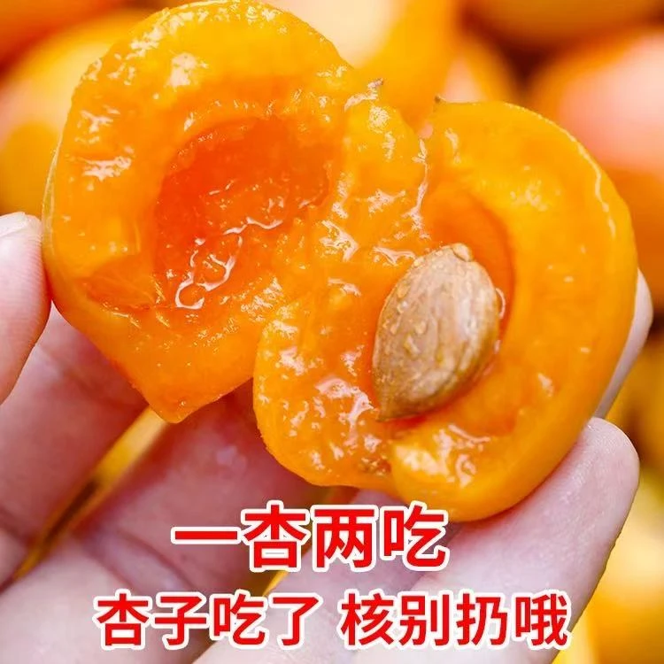 W【巨甜】【明日送货上门】头茬新疆吊干杏 一杏两吃原箱发货净重3斤新疆维吾尔自治区