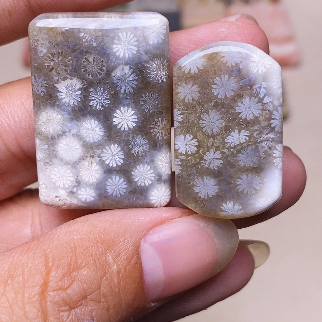 鱼***鱼硅化玉合金珊瑚玉