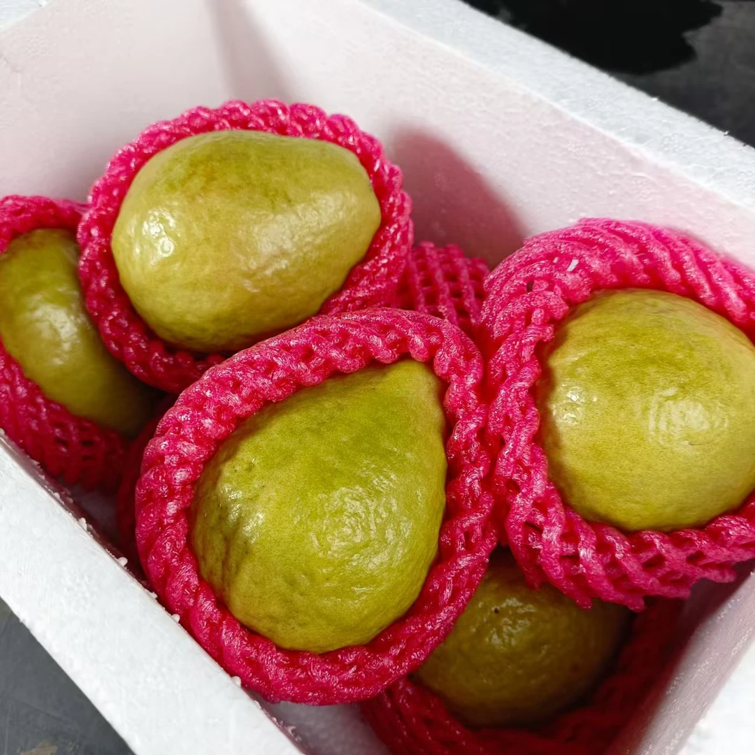 鲜果维红芭乐水果（细腻丝滑）福建省