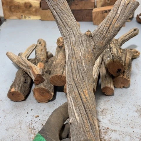 大果紫檀（缅甸花梨）N*