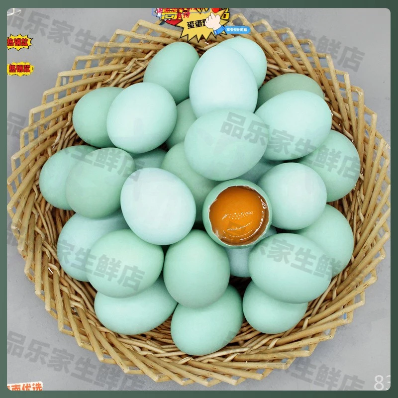 破损包赔高山现捡现发10枚乌鸡蛋绿壳蛋柴鸡蛋健康营养美味