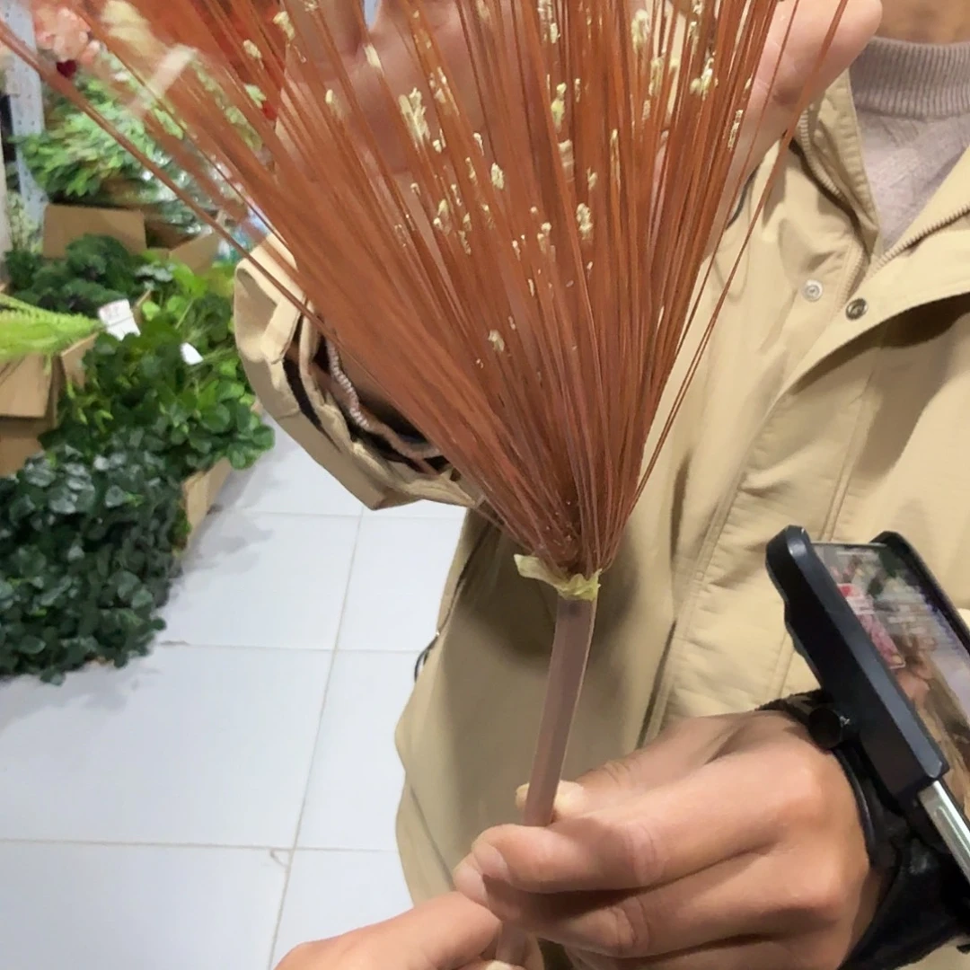 704号散沙大支10支