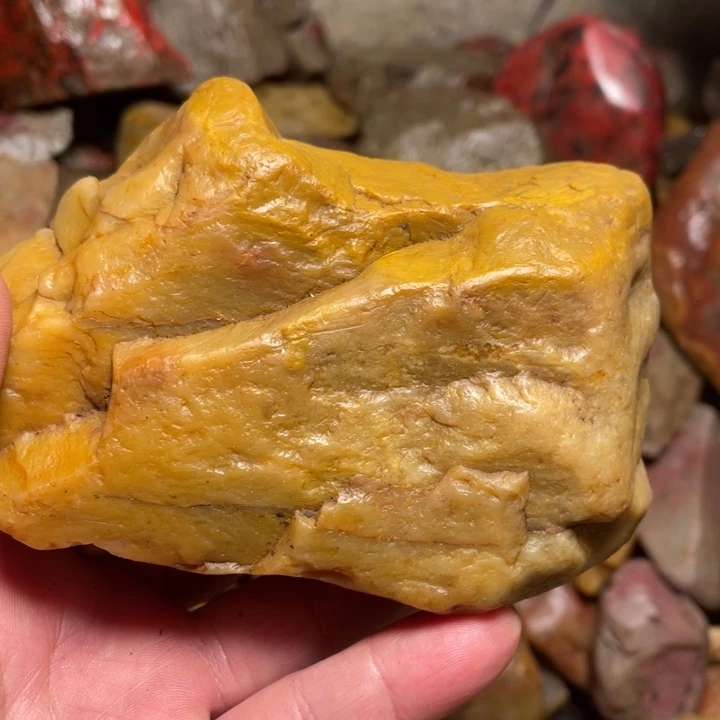 田黄石九****）695克昌化田黄石